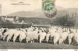 D64  CAMBO BASSEBOURE Et Le Mont Ursuya  ....... Avec Troupeau De Moutons  Genre Mérinos - Cambo-les-Bains