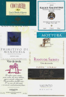 ITALIA ITALY - 11 Etichette Vino Rosso PUGLIA Anni 80-90 Vari Vini Rossi E Rosati Pugliesi - Red Wines