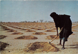 NIGER Planting Shrubs To Improve The Soil S Moisture Retention Niger 12(scan Recto-verso) MA209 - Níger