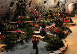 DOUE LA FONTAINE Cite Des Roses Dans Les Grottes Des Arenes Journees De La Rose Mi Juillet 26(scan Recto-verso) MA235 - Doue La Fontaine