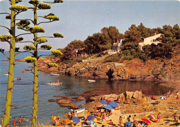 Une Calanque Aux ISSAMBRES Environs De Saint Raphael 22(scan Recto-verso)MA264 - Les Issambres