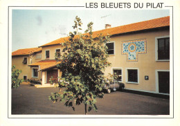PELUSSIN Les Bleuets Du Pilat Maison De Repos 5(scan Recto-verso) MA253 - Pelussin