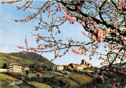 Le Village De BIRIATOU Vu Depuis L Espagne Printemps En Pays Basque 12(scan Recto-verso) MA296 - Biriatou