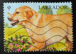 4545 France 2011 Oblitéré Labrador - Oblitérés