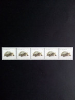 ÖSTERREICH MI-NR. 2624 POSTFRISCH(MINT) 5er STREIFEN MIT NUMMER SCHILDKRÖTE 2006 - Tortues