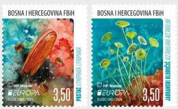 Bosnia And Hercegovina, HP Mostar, 2024 EUROPA Stamps - Underwater Fauna & Flora (MNH) - Bosnien-Herzegowina