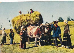 AGRICULTURE. FENAISON. ATTELAGE .ANIMATION " LA GAITE SAVINOISE "..GROUPE SCOLAIRE DE ST-AMANT ROCHE SAVINE (63) - Cultivation