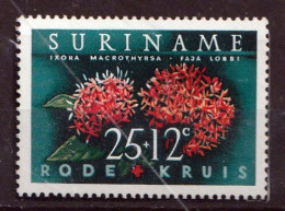 SURINAME - Flore, Ixora à Grands Thyrses - Y&T N° 370 - 1962 - MNH - Suriname