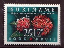 SURINAME - Flore, Ixora à Grands Thyrses - Y&T N° 370 - 1962 - MNH - Surinam