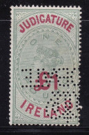 Ireland Judicature Fees £1 Geen And Red Good Used Perfin Barefoot 49 - Usados