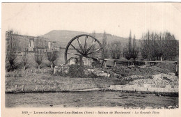 LONS-LE-SAUNIER-LES-BAINS , Salines De Montmorot , La Grande Roue - Molinos De Agua