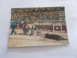 THEME CORRIDA  LE TRAIN D ARRASTRE  ATTELAGE CHEVAUX QUI TIRE UN TAUREAU MORT  TRES ANIMEES COLORISER - Corridas