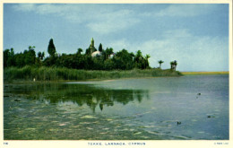 Cyprus, LARNACA, Hala Sultan Tekke Mosque (1960s) Raphael Tuck 118 Postcard - Chipre