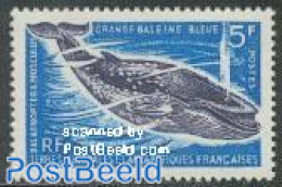 French Antarctic Territory 1966 Blue Whale 1v, Mint NH, Nature - Sea Mammals - Nuevos