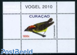Curaçao 2010 Birds S/s, Touit Purpurata, Mint NH, Nature - Birds - Curaçao, Nederlandse Antillen, Aruba
