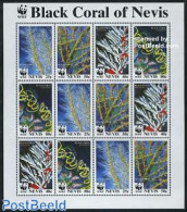 Nevis 1994 WWF, Corals M/s, Mint NH, Nature - World Wildlife Fund (WWF) - St.Kitts E Nevis ( 1983-...)
