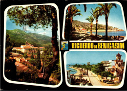 N°1039 Z -cpsm Recuerdo De Benicasim- Multivues- - Altri & Non Classificati