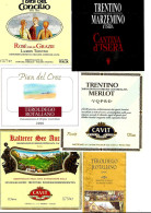 ITALIA ITALY - 16 Etichette Vino Rosso TRENTINO ALTO ADIGE Anni 80-90 Vari Vini Rossi Del Trentino - Red Wines