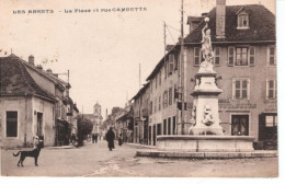 38  LES ABRETS  La Place Et Rue Gambetta - Les Abrets