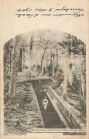 JAPAN  - THE STONE STEPS OF THE TOMB OF (SHINTO) TEMPLE NIKKO - TOCHIGI - 1904 - Other & Unclassified