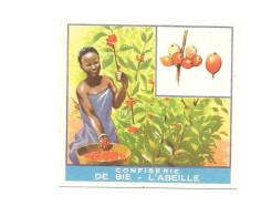 BW73 - CHROMOS CONFISERIE DE BIE L'ABEILLE - CONGO BELGE - CULTURE DU CAFE - Andere & Zonder Classificatie