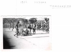 TANZANIE 1955 DODONA TANGANYIKA 2(scan Recto-verso) MA352 - Tansania