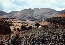 BIDARRAY Reflets Du Pays Basque 32(scan Recto-verso) MA348 - Bidarray