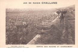 21 . N°205229. Nuits St Georges. Jus De Raisin Challand. Sortie Des Raisins. Vigne. Métier - Nuits Saint Georges