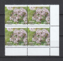 Serbien 2019**, Fetthenne / Serbien 2019, MNH, Stonecrop - Serbien