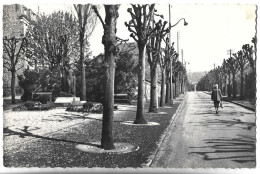 CORMEILLES EN PARISIS - Le Monument Aux Morts Et L'avenue Foch - Cormeilles En Parisis