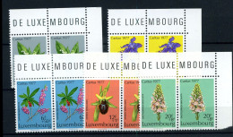 Luxembourg - 907/11 En Pair  - MNH ** - Caritas 1977 - Unused Stamps