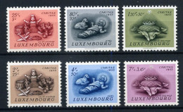 Luxembourg - 500/05 - MNH ** - Caritas 1955 - Unused Stamps