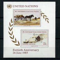 United Nations - Block 8 - MNH ** - Hojas Y Bloques