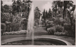 88046 - Bad Pyrmont - Palmengarten - Ca. 1960 - Bad Pyrmont