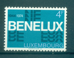 Luxembourg 1974 - Y & T N. 841 - BENELUX (Michel N. 891) - Neufs