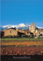 Entre Mer Et Montagne LE ROUSSILLON Pyrenees Mediterranee 12(scan Recto-verso) MA483 - Roussillon