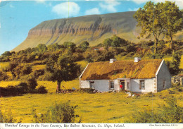 Thatched Cottage In The Yeats Country Ben Bulben Mountain CO SLIGO IRELAND 1(scan Recto-verso) MA497 - Sligo