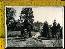 Monza  Besana Brianza (bozza Fotografica) - Monza