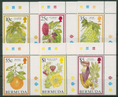 Bermuda-Inseln 1994 Früchte 659/64 Ecke Postfrisch - Bermudas