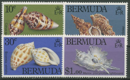 Bermuda-Inseln 1982 Meeresschnecken 408/11 Postfrisch - Bermudes