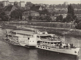 135928 - Pirna - Weisse Flotte - Pirna