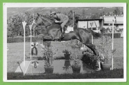 Pedras Salgadas - Concurso Hípico Em 1965. Vila Real. Portugal (Fotográfico) - Vila Real