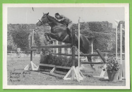 Peniche - Concurso Hípico Nacional Em 1965. Leiria. Portugal (Fotográfico) - Leiria