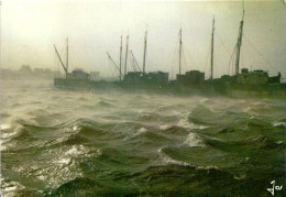 *CPM - FRANCE - BRETAGNE - Tempête à La Pointe De Bretagne En Hiver - Bretagne