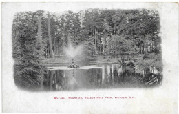 Fountain Beacon Hill Park Victoria - Victoria