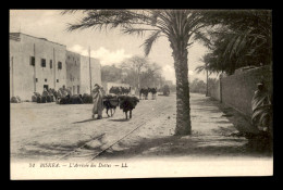 ALGERIE - SAHARA - BISKRA - L'ARRIVEE DES DATTES - Biskra