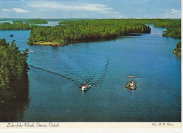 AK 212618 CANADA - Ontario - Lake-of-the-Woods - Andere & Zonder Classificatie