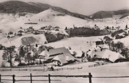 61970 - Bernau - Wintersportplatz - 1964 - Waldshut-Tiengen