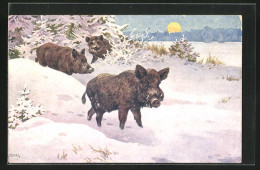 Künstler-AK Wildschweine An Einem Winterabend  - Cochons