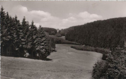 70553 - Schwarzenbach - Am Döbraberg - 1964 - Hof